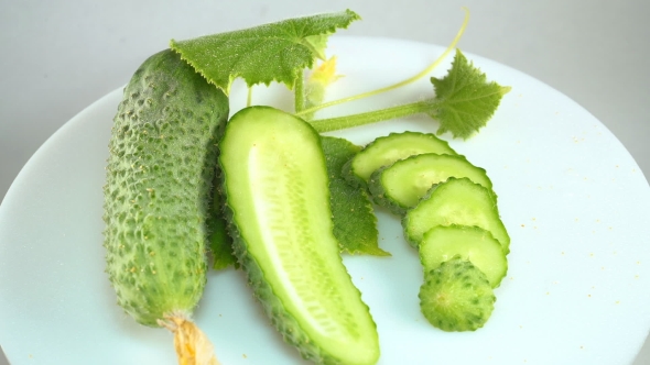 Fresh Cucumber on a White Plate