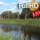 Small River Overgrown with Reeds and a Forest - VideoHive Item for Sale