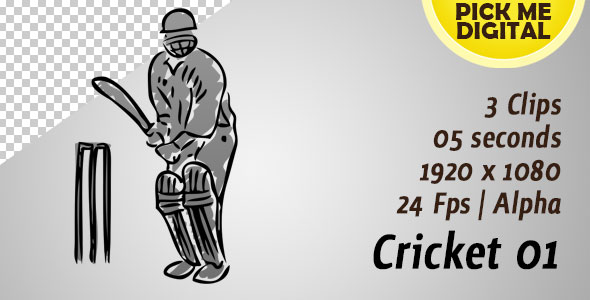 Cricket 01