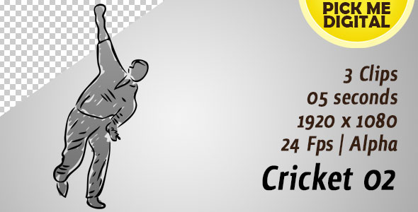 Cricket 02