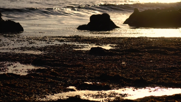 Sunset By the Sea, the Wind Excites the Water, a Light Breeze