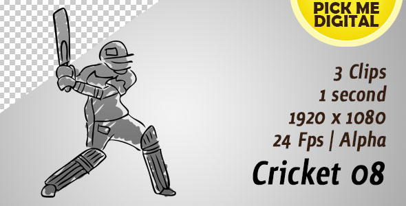 Cricket 08