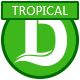 Tropical Summer