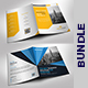 Bi-fold Brochure Bundle - GraphicRiver Item for Sale