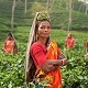 Indian