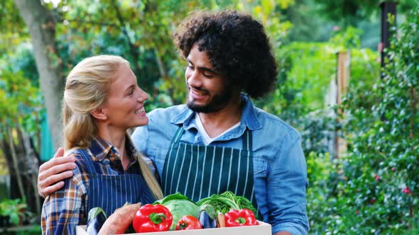 Gardener holding crate of fresh vegetables