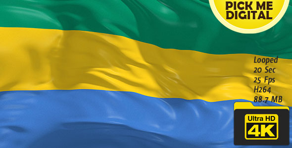 Gabon Flag 4K