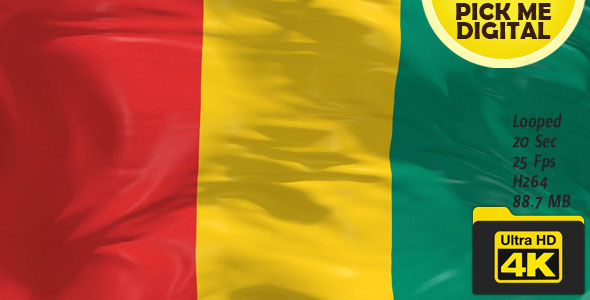 Guinea Flag 4K
