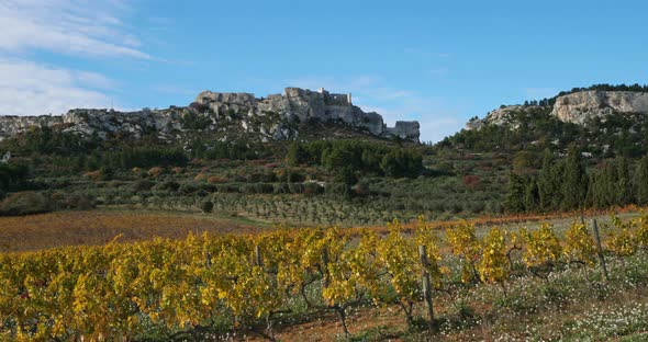 Vineyards, Les Baux de Provence, France