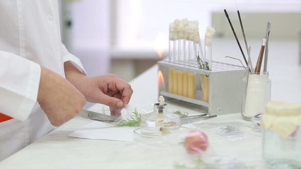 Microbiology Laboratory Work with Test Tubes alt