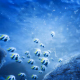 Under Water World 2 - VideoHive Item for Sale