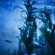 Under Water World 3 - VideoHive Item for Sale