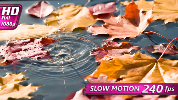 Paints Solar Autumn alt