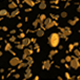 Golden Bitcoin Falling - VideoHive Item for Sale