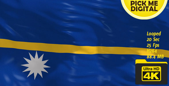 Nauru Flag 4K
