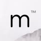 Module – A Minimalist Photography WordPress Theme - ThemeForest Item for Sale