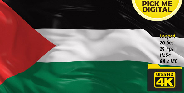 Palestine Flag 4K