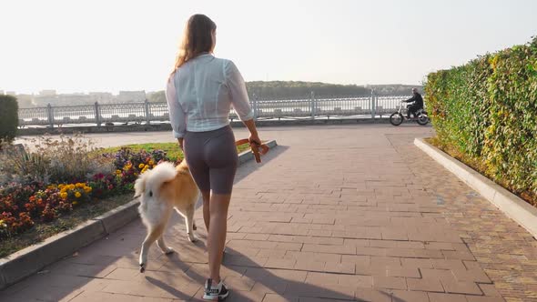 Young woman walking her cute Akita Inu dog in park on sunny day. Lovely pet