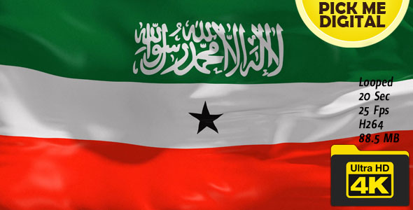 Somaliland Flag 4K