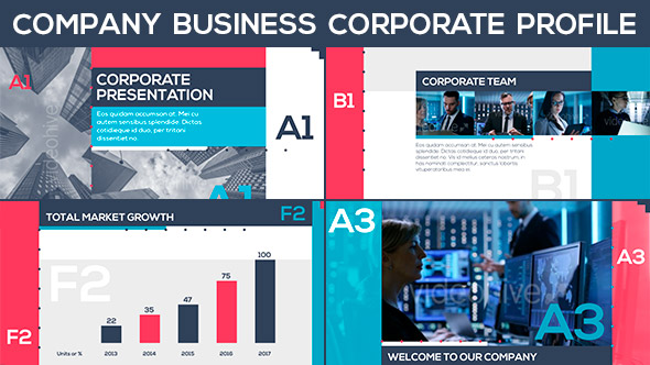 Company Business Corporate Profile