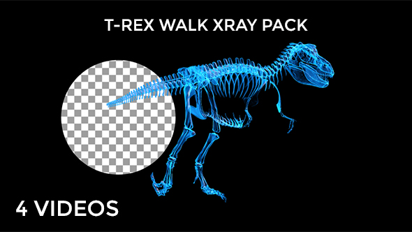 Tyrannosaur Skeleton Walking Xray Background with Alpha