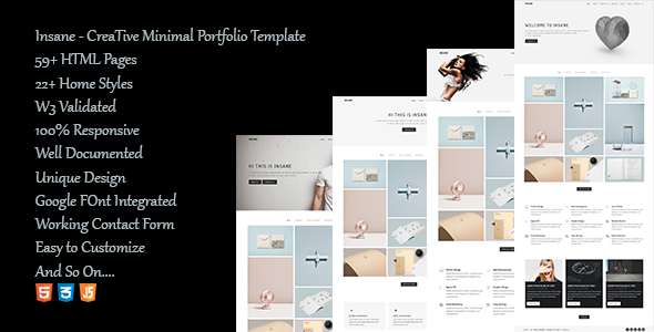 Insane - Creative Minimal Portfolio template