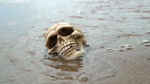Skull on the Seashore Washed By Waves