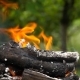 Logs Burn with a Bright Flame - VideoHive Item for Sale