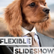 Flexible Slideshow - VideoHive Item for Sale