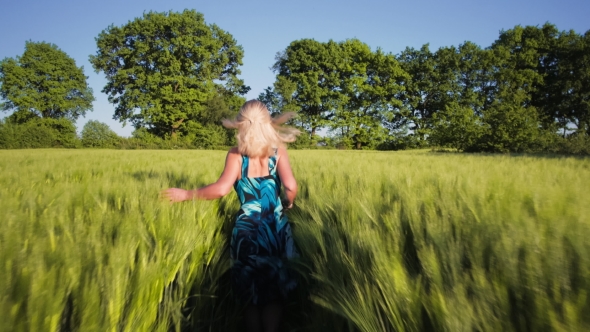 A Young Blond Girl Wear Blue Dress Running Through a Wheat Field