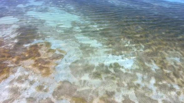 White Sandy Coral Reef in the Clear Turquoise Light Blue Sea of the Tropical Coastline