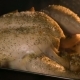 Cooking Chicken in the Oven - VideoHive Item for Sale