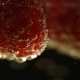 Champagne With Fresh Raspberry - VideoHive Item for Sale