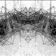 Network Morph Texture BG Multiscreen - Grayscale - VideoHive Item for Sale