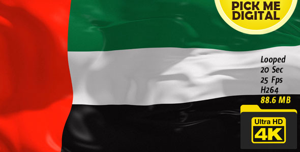 United Arab Emirates Flag 4K