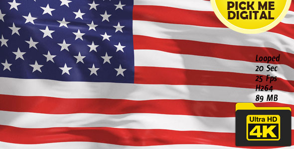 United States of America Flag 4K
