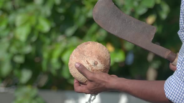 Indian Cracking Open A Coconut