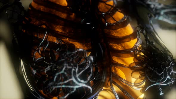 Human Body Scan with Glowing Lungs and Trachea alt