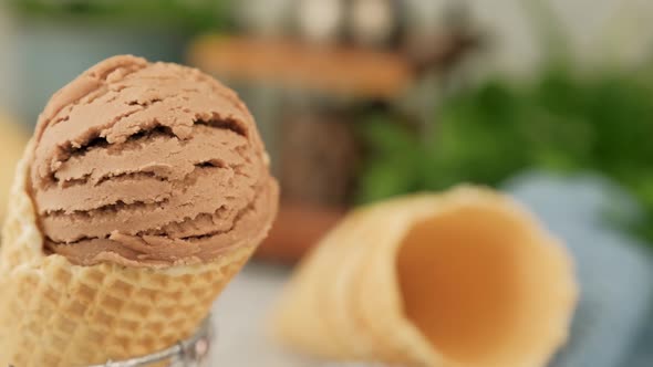 Delicious coffee ice cream for dessert