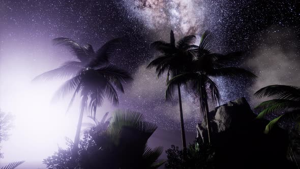 Milky Way Galaxy Over Tropical Rainforest