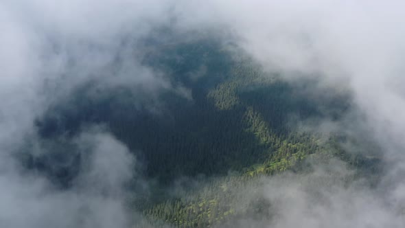 Beautiful aerial view of the woods. Mountains of the Czech Republic. Hrubý Jeseník. Czech landscape