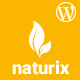 Naturix - Organic Store Woocommerce Theme with Drag n Drop Page Builder - ThemeForest Item for Sale