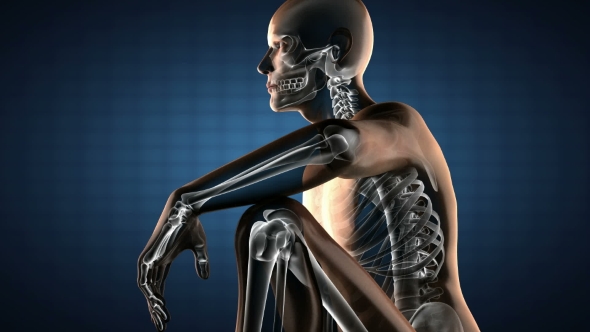 Human Bones Radiographic Scan alt