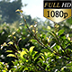 Green Leafs and Branches 112 - VideoHive Item for Sale