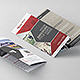 Trifold Brochure 41: Multipurpose - GraphicRiver Item for Sale
