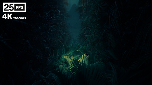 Jungle Palms 02 4K