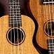 Ukulele Background - AudioJungle Item for Sale