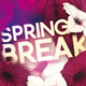 Spring Break Flyer - GraphicRiver Item for Sale