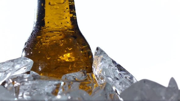 Festival of Beer Capacity Are Bottle of Beer in the Ice. White Background.