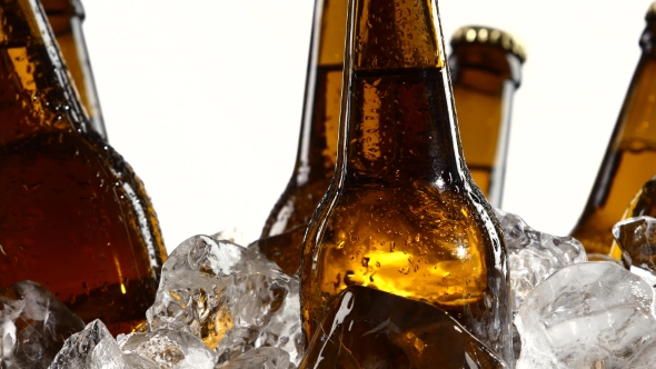 Dark Bottles of Beer Are in a Container with Ice Pieces. White Background.